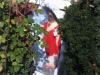 saran-wrapped jesus