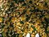 leaves at my feet