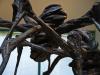 my mother was a spider